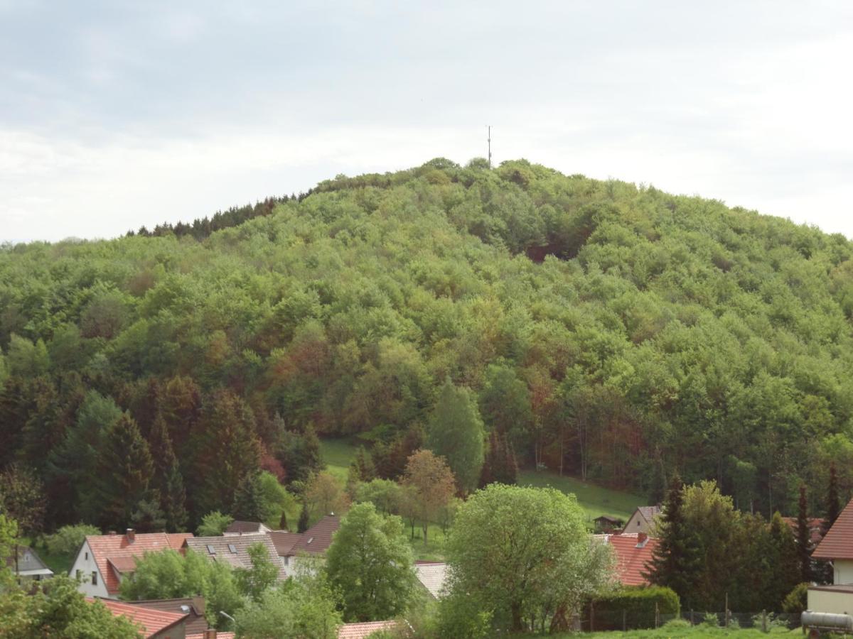 Der Fuchsbau - Fewo Lepetit - Im Sonnigen Harz - Hunde Willkommen - 100M Bis Zum Wald - Free Wlan Apartamento Bad Sachsa Exterior foto