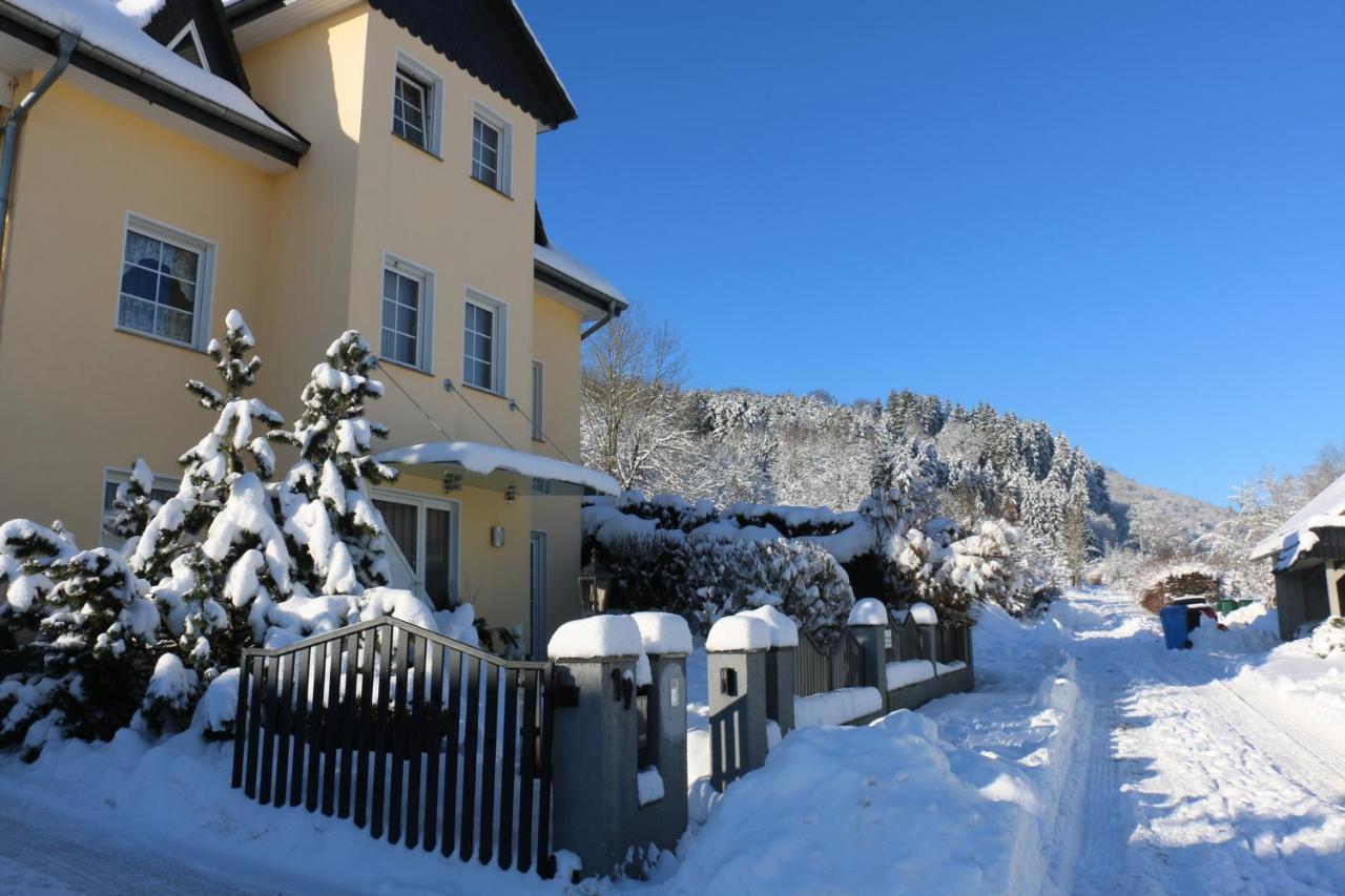 Der Fuchsbau - Fewo Lepetit - Im Sonnigen Harz - Hunde Willkommen - 100M Bis Zum Wald - Free Wlan Apartamento Bad Sachsa Exterior foto