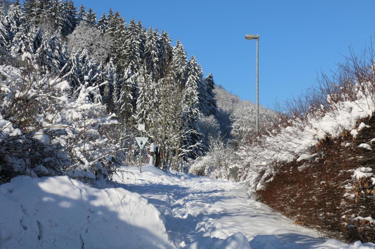 Der Fuchsbau - Fewo Lepetit - Im Sonnigen Harz - Hunde Willkommen - 100M Bis Zum Wald - Free Wlan Apartamento Bad Sachsa Exterior foto